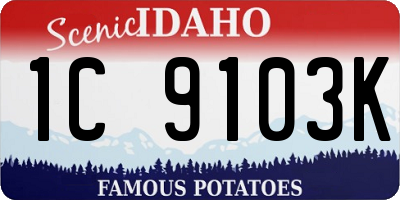 ID license plate 1C9103K