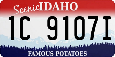 ID license plate 1C9107I