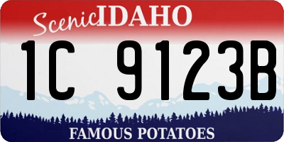 ID license plate 1C9123B