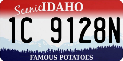 ID license plate 1C9128N