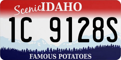 ID license plate 1C9128S