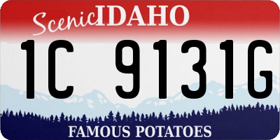 ID license plate 1C9131G