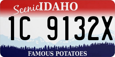 ID license plate 1C9132X