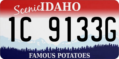 ID license plate 1C9133G