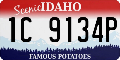 ID license plate 1C9134P