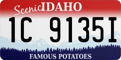 ID license plate 1C9135I