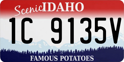 ID license plate 1C9135V