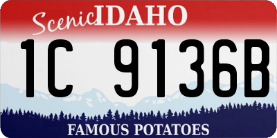 ID license plate 1C9136B