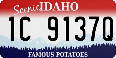ID license plate 1C9137Q
