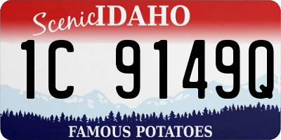 ID license plate 1C9149Q