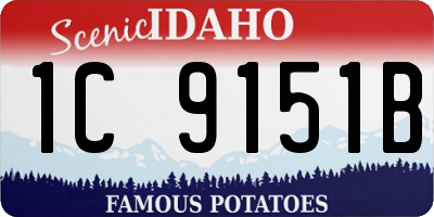 ID license plate 1C9151B