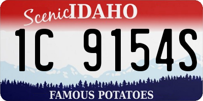 ID license plate 1C9154S