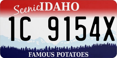 ID license plate 1C9154X