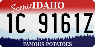 ID license plate 1C9161Z