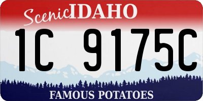 ID license plate 1C9175C