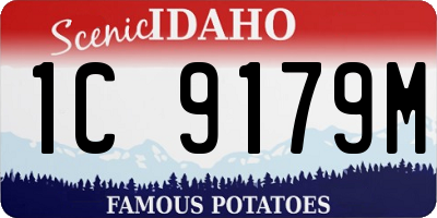 ID license plate 1C9179M