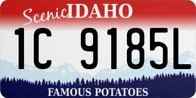 ID license plate 1C9185L