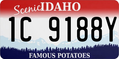 ID license plate 1C9188Y