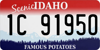 ID license plate 1C9195O