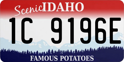 ID license plate 1C9196E