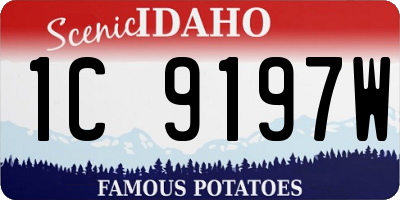 ID license plate 1C9197W
