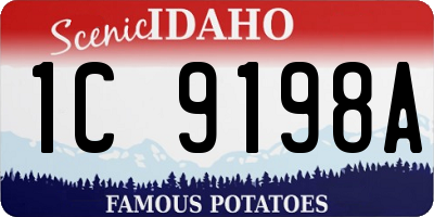 ID license plate 1C9198A