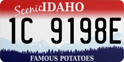ID license plate 1C9198E