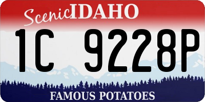 ID license plate 1C9228P
