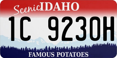 ID license plate 1C9230H