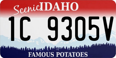ID license plate 1C9305V