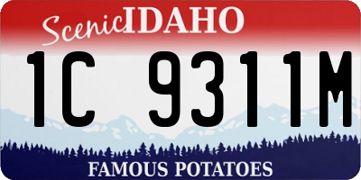 ID license plate 1C9311M
