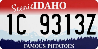 ID license plate 1C9313Z