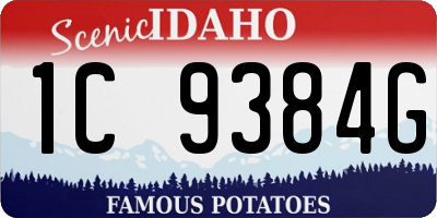 ID license plate 1C9384G