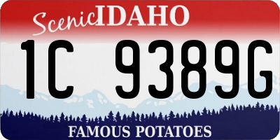 ID license plate 1C9389G