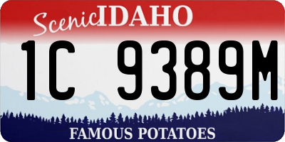 ID license plate 1C9389M