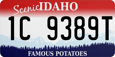 ID license plate 1C9389T