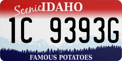 ID license plate 1C9393G