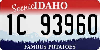 ID license plate 1C9396O