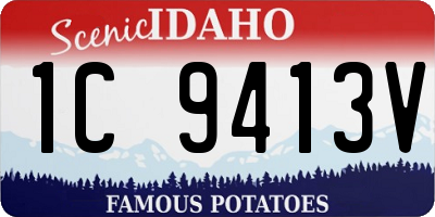 ID license plate 1C9413V