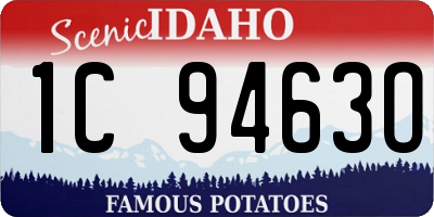 ID license plate 1C9463O