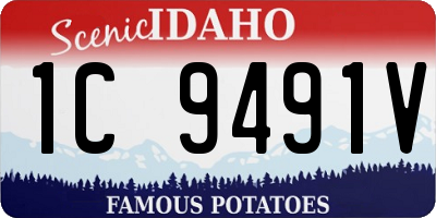 ID license plate 1C9491V