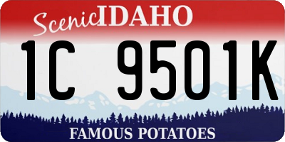 ID license plate 1C9501K