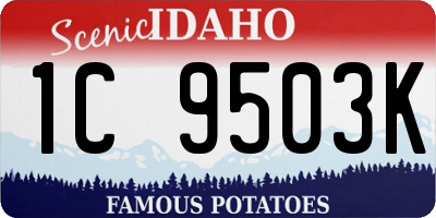 ID license plate 1C9503K