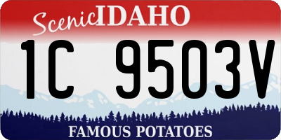 ID license plate 1C9503V