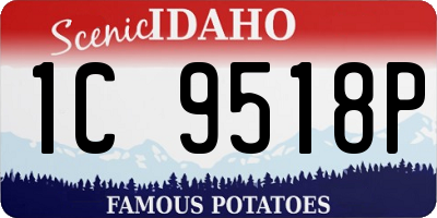 ID license plate 1C9518P
