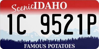 ID license plate 1C9521P