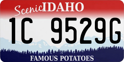 ID license plate 1C9529G