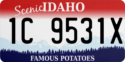 ID license plate 1C9531X
