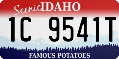 ID license plate 1C9541T
