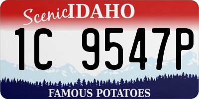 ID license plate 1C9547P